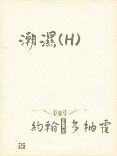 潮湿(H)
