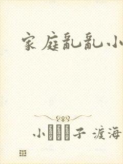 家庭乱乱小说封面