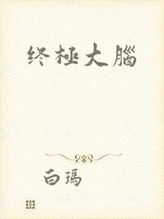 终极大脑