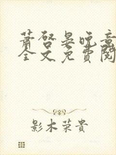萧启晏晚意小说全文免费阅读