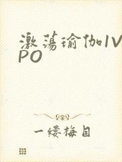 激荡瑜伽1V2PO封面
