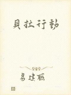 贝拉行动封面