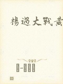 杨过大战黄蓉