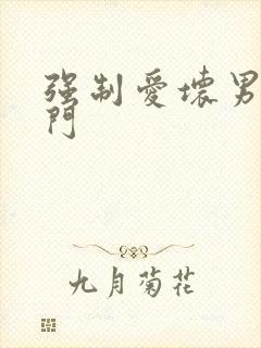 强制爱坏男送上门
