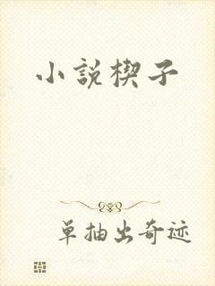 小说楔子