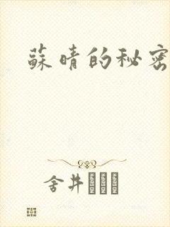 苏晴的秘密小说封面