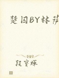 楚囚BY林萨