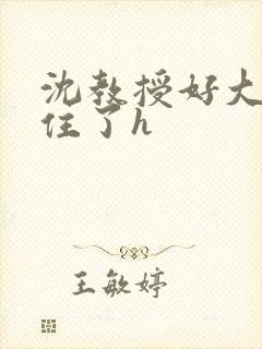 沈教授好大含不住了h