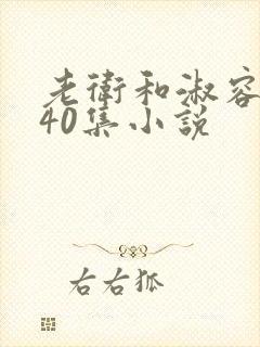 老卫和淑容1-40集小说