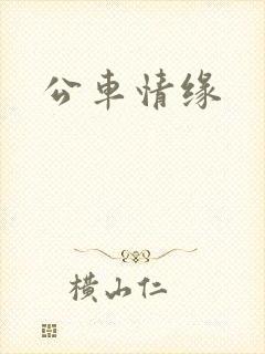 公车情缘