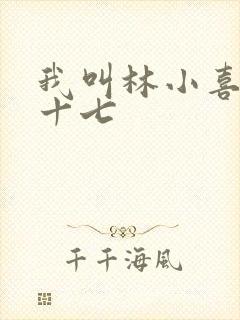 我叫林小喜今年十七封面