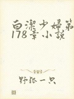 白洁少妇第1一178章小说