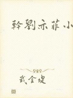 干刘亦菲小说封面