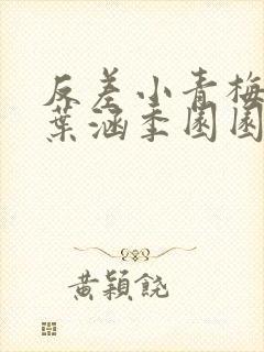 反差小青梅不经叶涵季园园封面