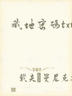 藏地密码txt封面