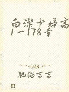 白洁少妇高义第1一178章