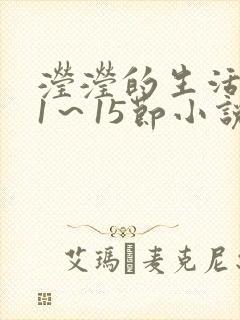滢滢的生活日记1～15节小说封面