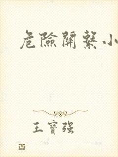 危险关系小说