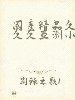 国产精品久久久久久亚洲小说