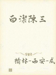 白洁陈三封面