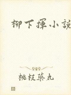 柳下挥小说封面