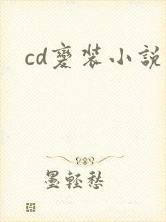 cd变装小说