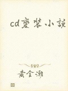 cd变装小说封面