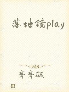 落地镜play