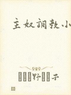 主奴调教小说封面