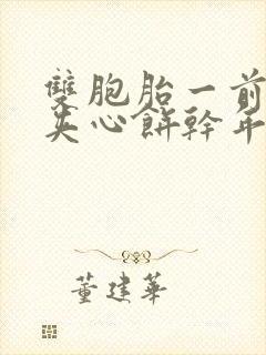 双胞胎一前一后夹心饼干年下