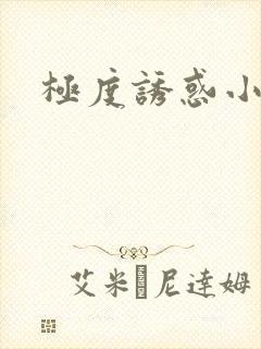 极度诱惑小说
