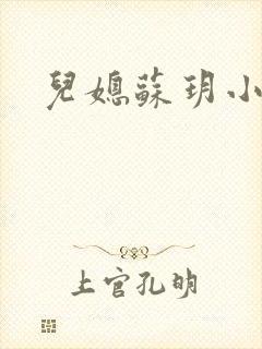 儿媳苏玥小说封面