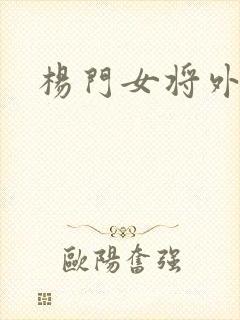 杨门女将外传