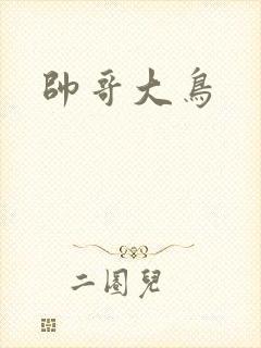 帅哥大鸟