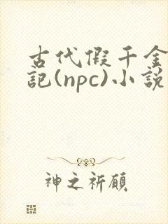 古代假千金挨日记(npc)小说