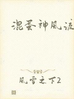 混蛋神风流史补封面