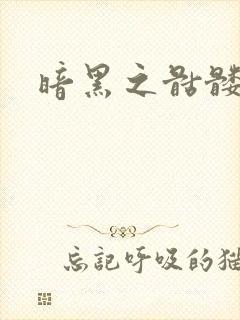 暗黑之骷髅王封面