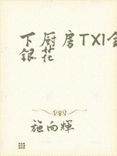 下厨房TXl金银花