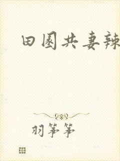 田园共妻辣