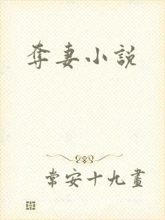 夺妻小说