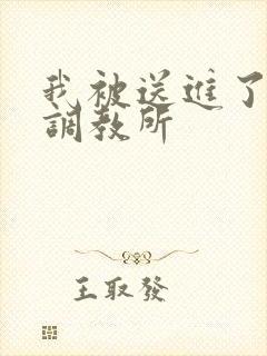 我被送进了私奴调教所