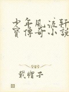 少年风流轩辕大宝传奇小说