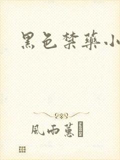 黑色禁药小说