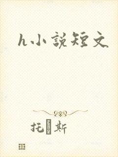 h小说短文封面