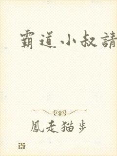 霸道小叔请轻撩封面
