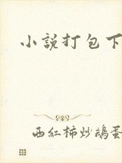 小说打包下载封面