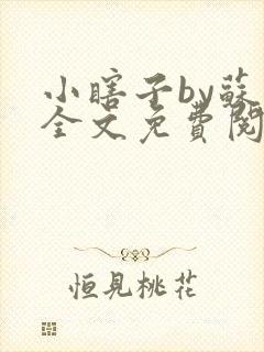 小瞎子by苏软全文免费阅读