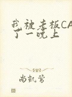 我被老板CAO了一晚上