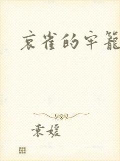 哀雀的牢笼