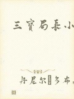 三宝局长小说
